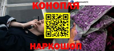 ALPHA-PVP Новодвинск