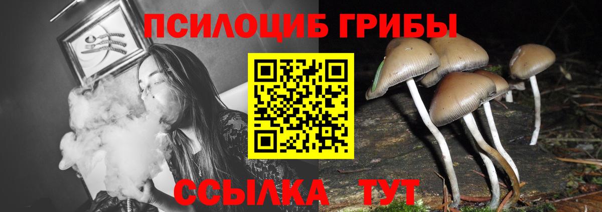 закладки  Вход с VPN  Саянск  Псилоцибиновые грибы Psilocybine cubensis  Галлюциногенные грибы Magic Shrooms 